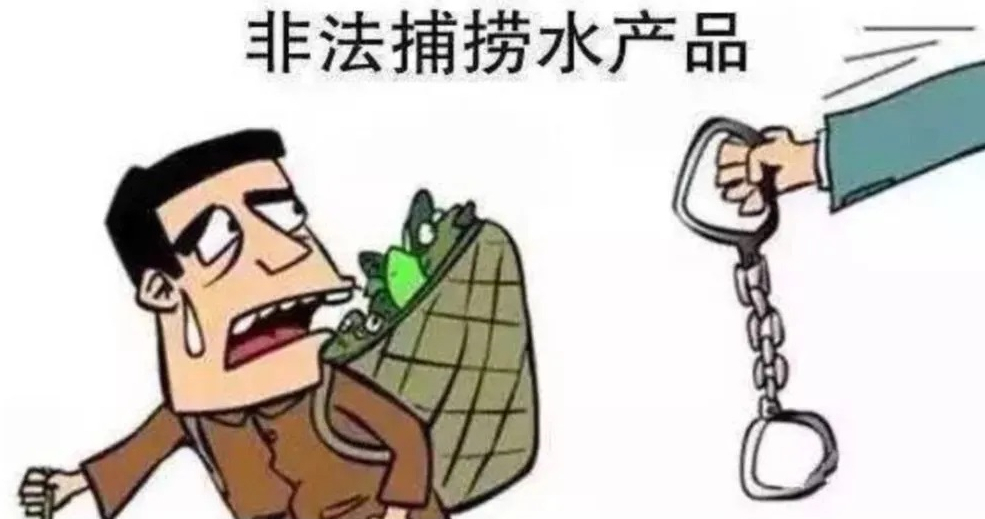 崇明|6个月310万，上海崇明一男子挣快钱，结果钱没花成自己还搭进去了