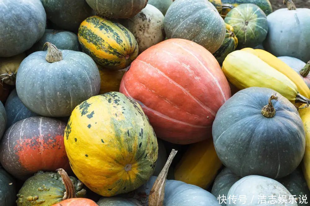 鸡翅|4步搞定的养生菜,吃完连碗都不用洗!一切一蒸就搞定,又省事了