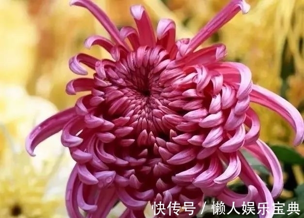 银月|金风游玉案,银月扶窗扇,铺笺织个相思串