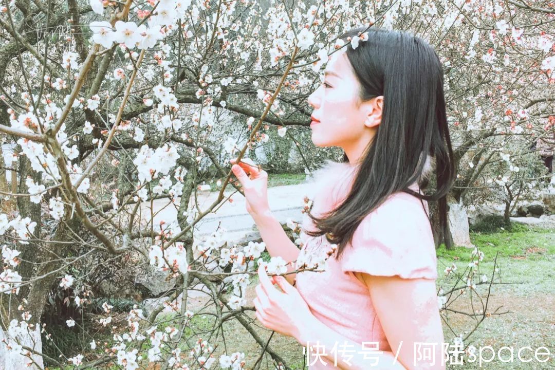 探梅|这个时节到灵峰探梅的人很多，其实越往里走越安静，更适合拍照