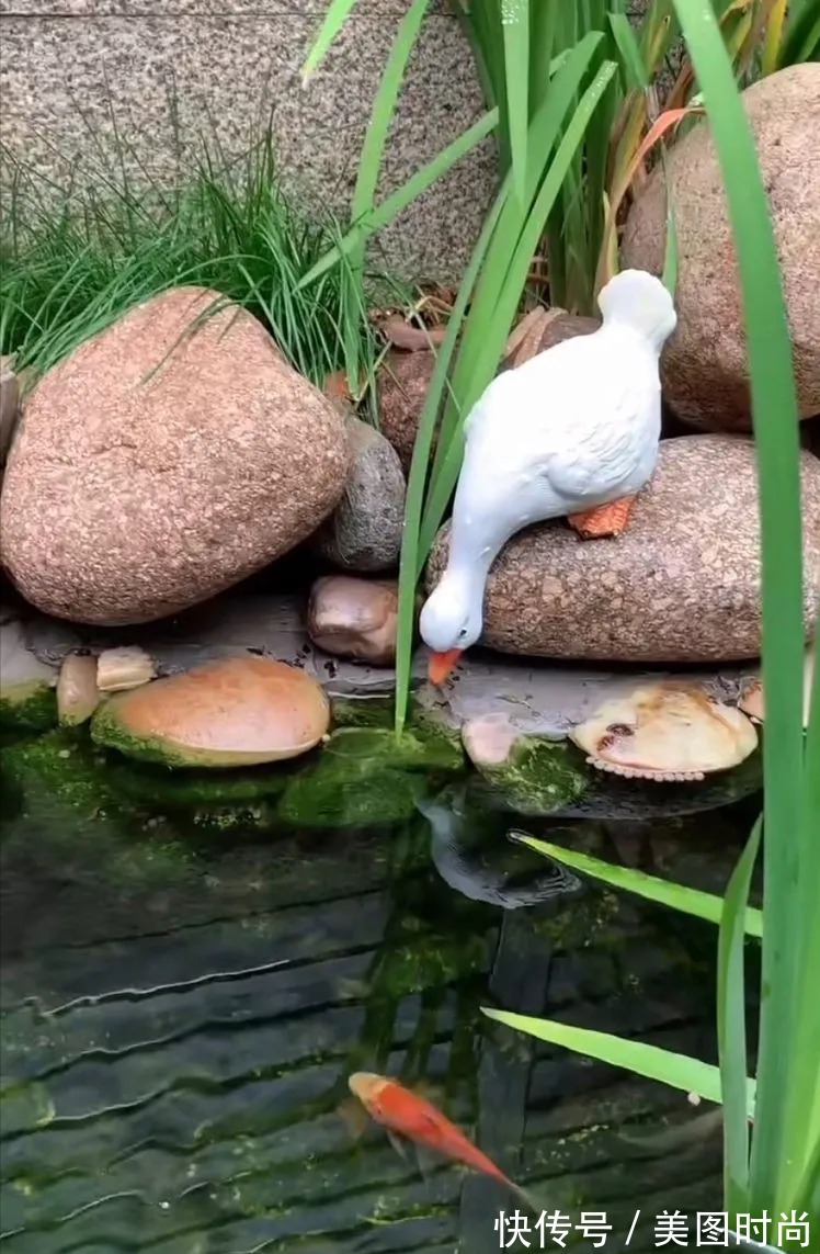防腐木|为了这个45㎡小院子，坚持买了一楼，打造成花园后比别墅还好看