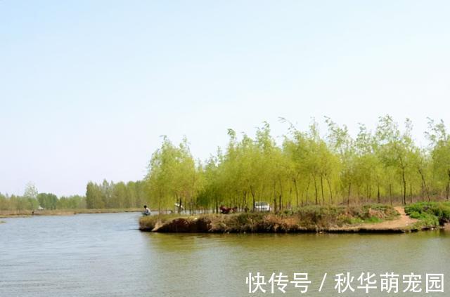 鲤鱼口滑不开口,试试这几招,只要有鲤鱼,不怕不开口