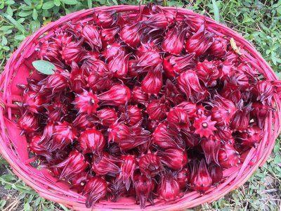 衰老|女性过了30岁,常喝3种食物泡水,祛斑养颜,延缓衰老,好处多多