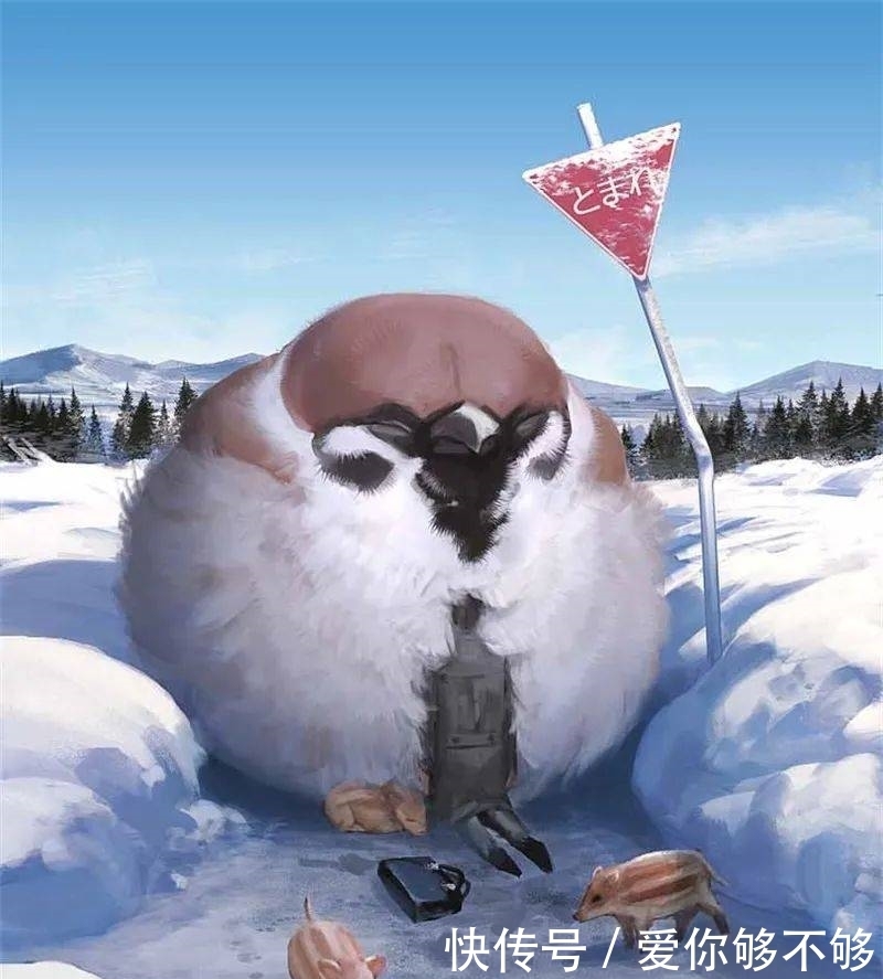 插画|三组各具特色的动物插画,看完很治愈~