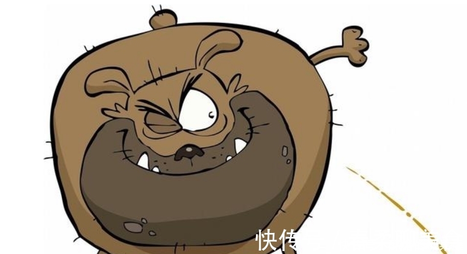 膳食纤维|便秘总反复？便秘有2种类型，劝你看症状根治便秘！