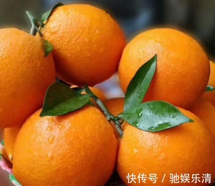 红薯|会吃的人更健康,3种食物离不开,补充营养,身体棒棒哒!