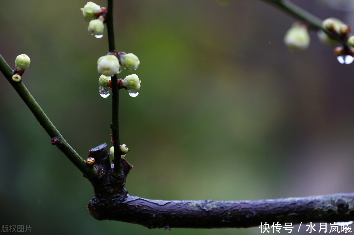  错过|雨是一生错过，雨是悲欢离合，雨是再也回不去的倾城往事