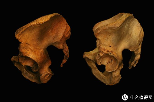 受试者|干货│如何正确找到完美的深蹲站距？