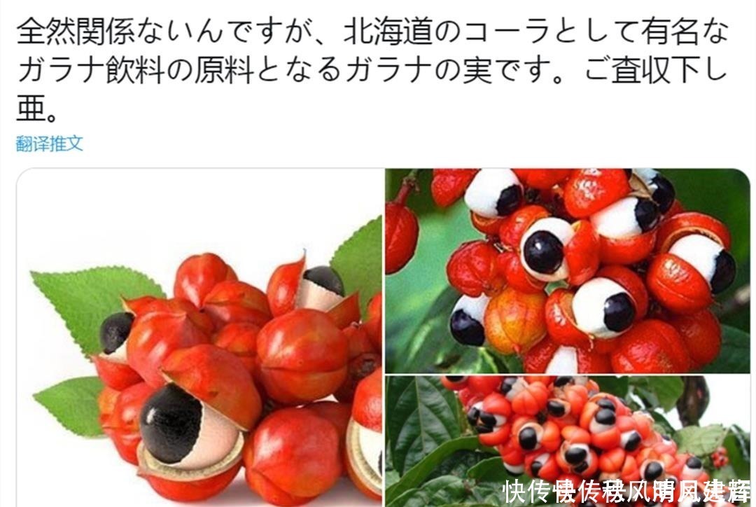 动漫|日本世博会logo被网友吐槽“奇丑无比”,画师可能是动漫看多了