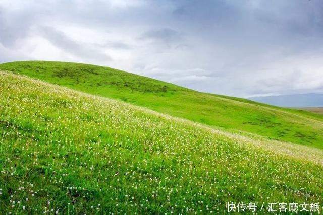 命名|甘南最美的绿色，中国唯一以黄河命名的地方