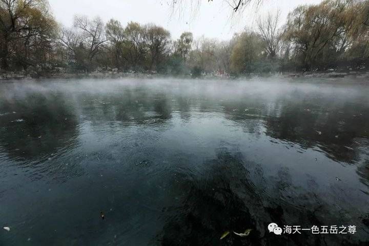 百脉泉|雪泉共舞，百脉氤氲：泉城第一场雪，百脉泉飞花穿庭，盛雪芳华