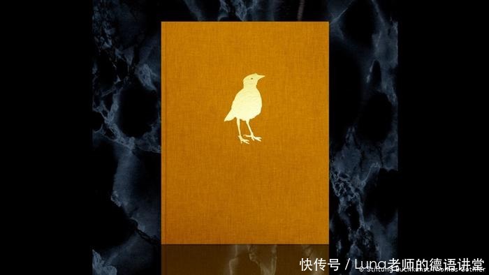 莱比锡选出来的-世界上最美的书