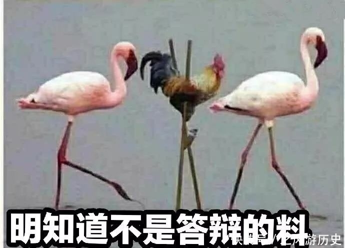 实录|毕业实录：答辩能有多“卑微”