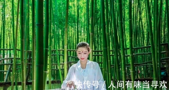 望月有感!入选中小学教材诗词最多“五大巨头”是谁,最多的达到多少篇?