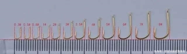 麦穗鱼|夏季钓鱼,面对小鱼大军的攻城略地,为何有些钓友输得很惨