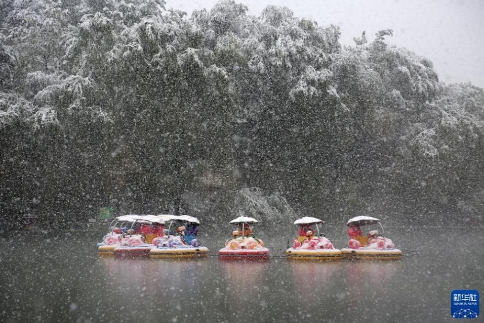 平凉市|雪落甘肃