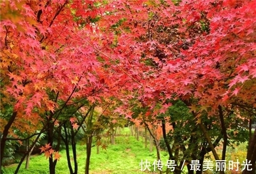 别集|杜牧最出名的一首诗，几乎人人都会背，却有两处争议至今仍未平息