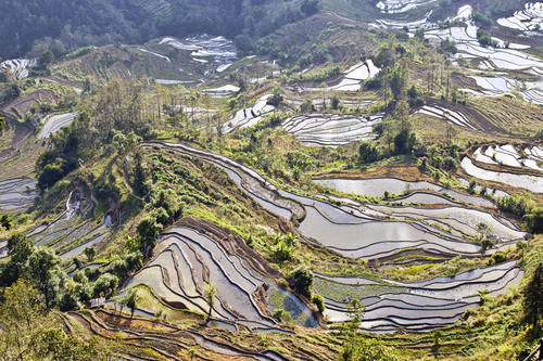 梯田|山势最险峻复杂、气势最恢宏壮观，大地雕塑最高典范，老虎嘴梯田