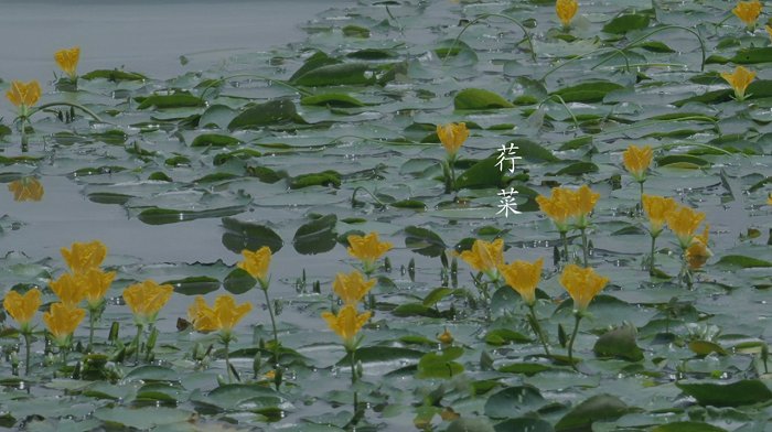 永福禅寺|原创国风文化栏目《跟着诗歌去旅行》上线，腾讯新闻发力新国风