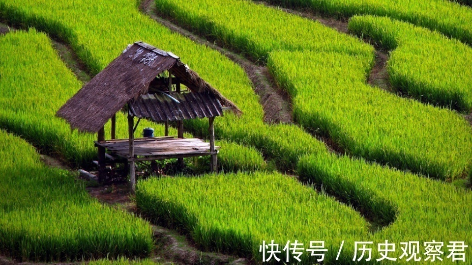 田地&俗话“有钱不买阴凉地，无钱别居阳谷田”，何为阴凉地、阳谷田？