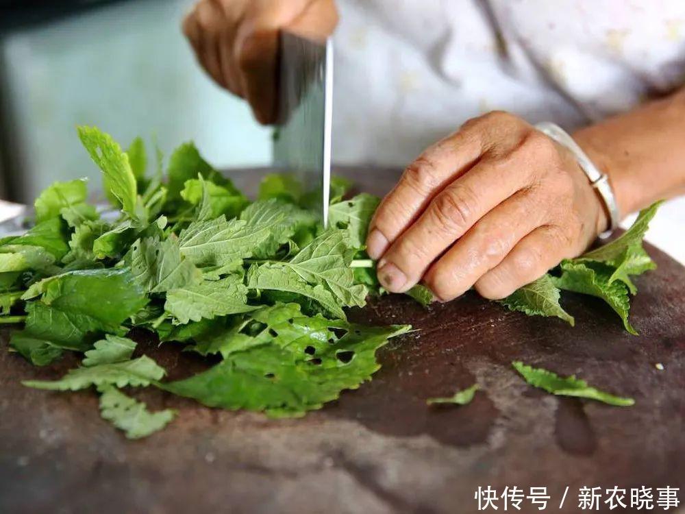 藿香|农村这种野草比香水还香,含一片叶子能除口臭,还是极品高钙菜