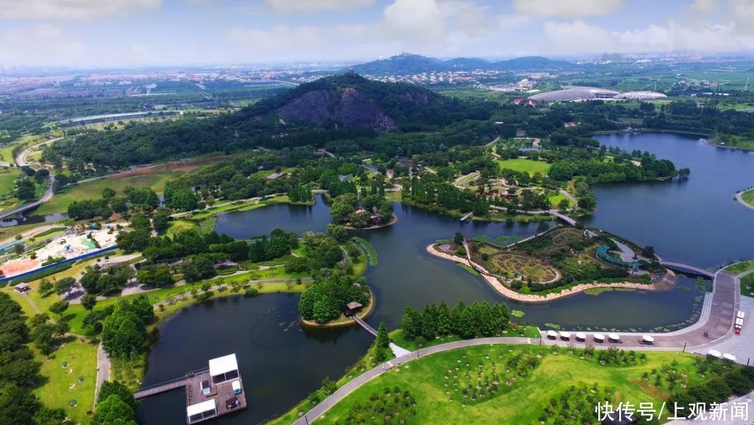 辰山植物园|本月起，只要你来自这九座城市，可享辰山植物园门票半价优惠