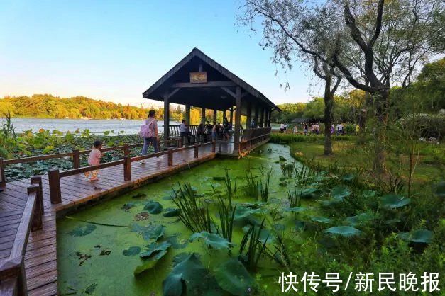 人造土山|闵行体育公园：四季皆美，上海最高的人造土山在这里