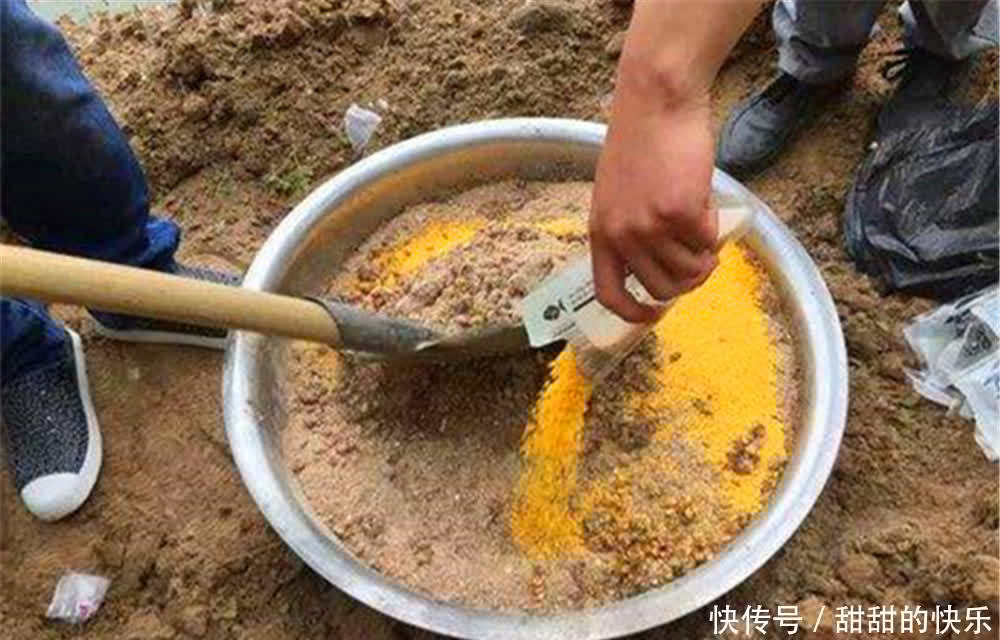 春季手竿钓鲤有四宝,学会了这四招,钓大鲤鱼不是难事!