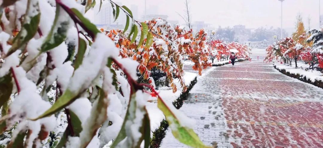 赵建民|临洮今秋第一场雪，比以往来得更早一些……