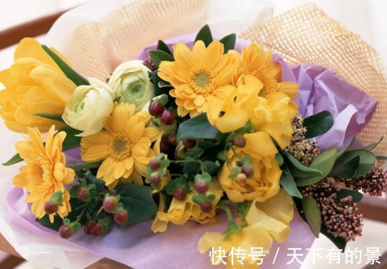 小技巧|费钱买肥养花,不如学会这些小技巧,自制肥效果一样棒