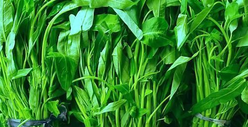 血糖|藏在身边的天然“二甲双胍”,每天换着吃,血糖慢慢就会降下来