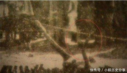 愣住|世上真有龙?东北老人称见过,还拿出“龙骨”,专家看后直接愣住