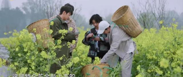 《向往的生活6》官宣了?常驻嘉宾原汁原味,唯独少了他意难平!