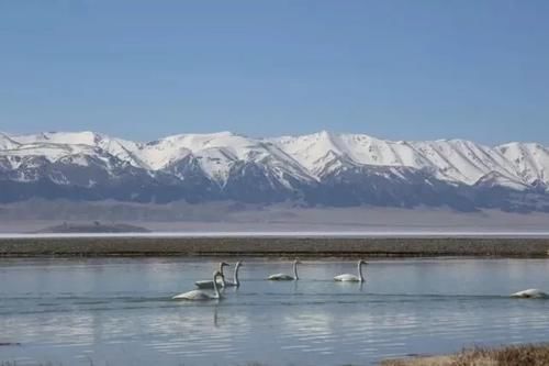 新疆赛里木湖即将美爆了，张张都是彩色大片！一组照片惊艳全国
