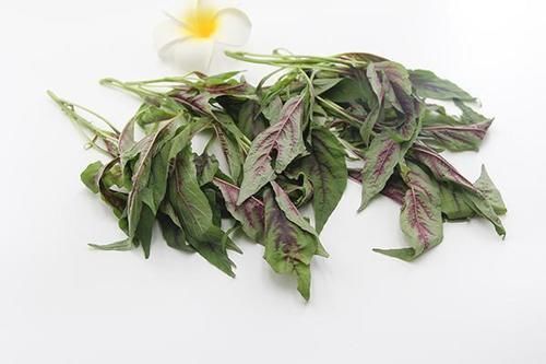 上榜|大脑“喜欢”的食物排行，核桃未上榜，50岁后的人建议多吃