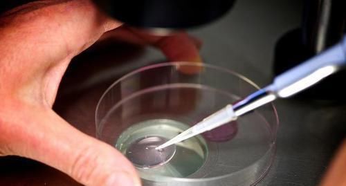 “试管婴儿”和正常孩子有什么区别不在于寿命长短,而是这一点