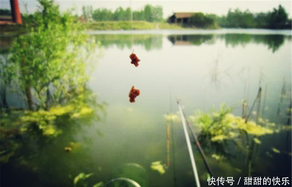 钓鱼技巧:出现这些情况,窝中有鱼也不上钩,牢记这些应对方法!