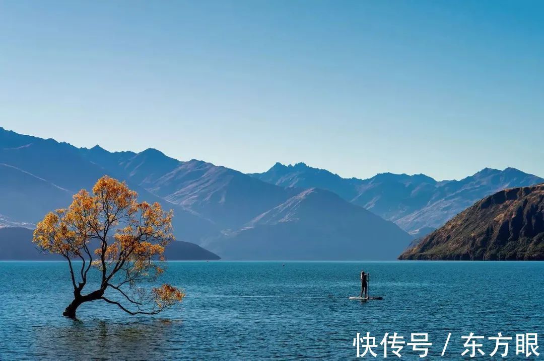 人生!静,是治愈一切的良药