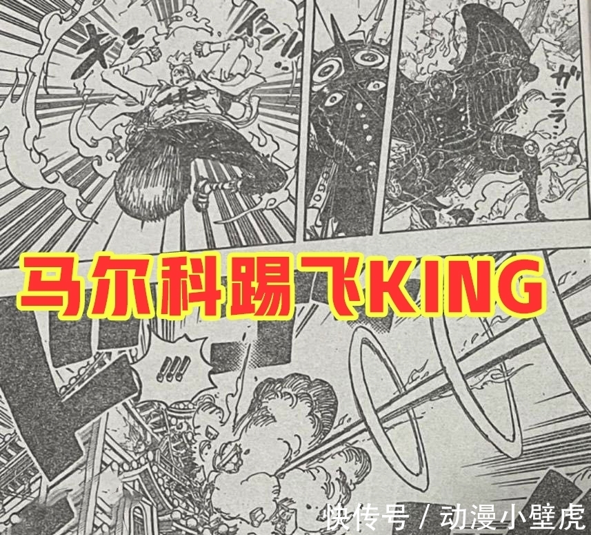 兔子|海贼王1006话:小马哥被烬斩落翅膀,豹五郎释放“生命归还”