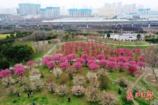 公园|改造升级！武汉这一公园成居民休闲打卡地