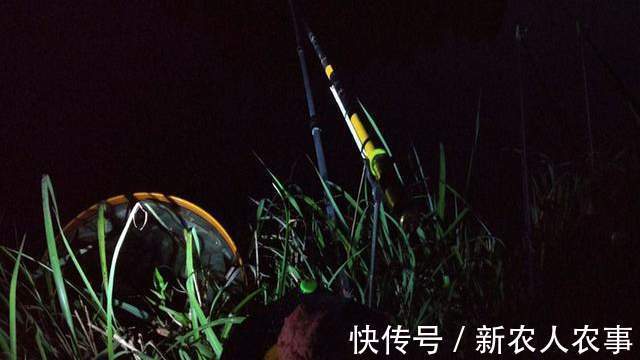 湖北一男子冒着寒冷通宵夜钓,妻子发现鱼获不对劲,网友:别乱想