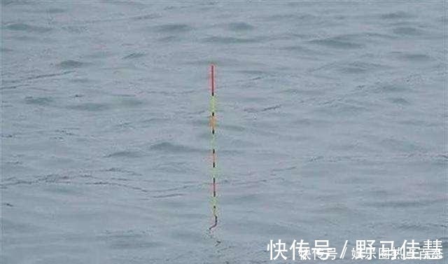 浮漂|一半钓鱼人还不知,秋钓出现这3种情况,说明找底出了问题!