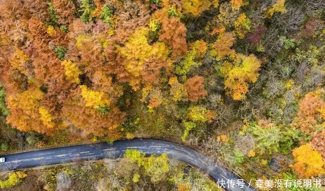 上榜|这个低调的宝藏小城比西安好吃！上榜最幸福城市！这里是宝鸡！