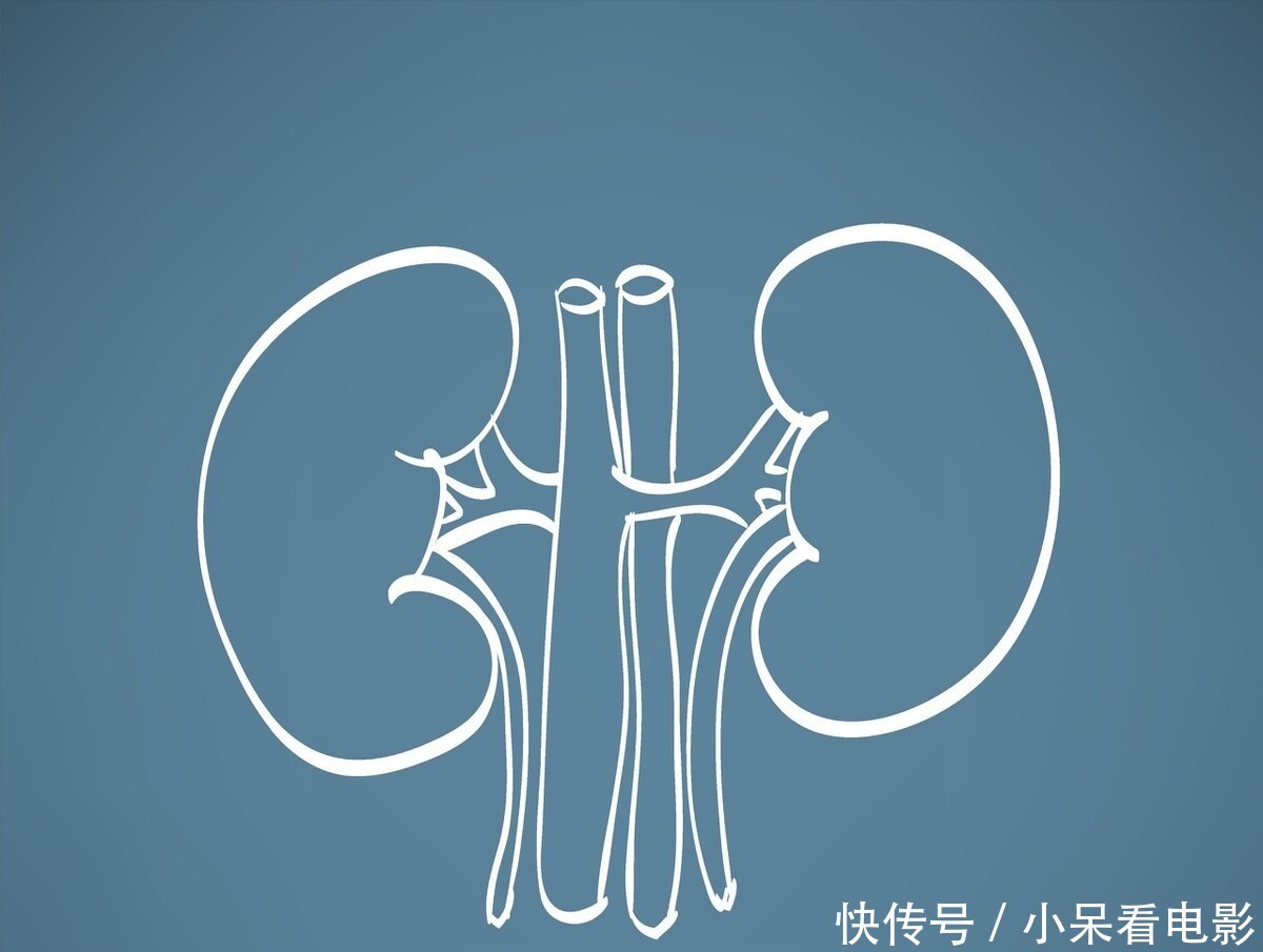 尿意|喝酒后很快就要小便,与喝酒后许久都不小便,哪种人的肾更健康?