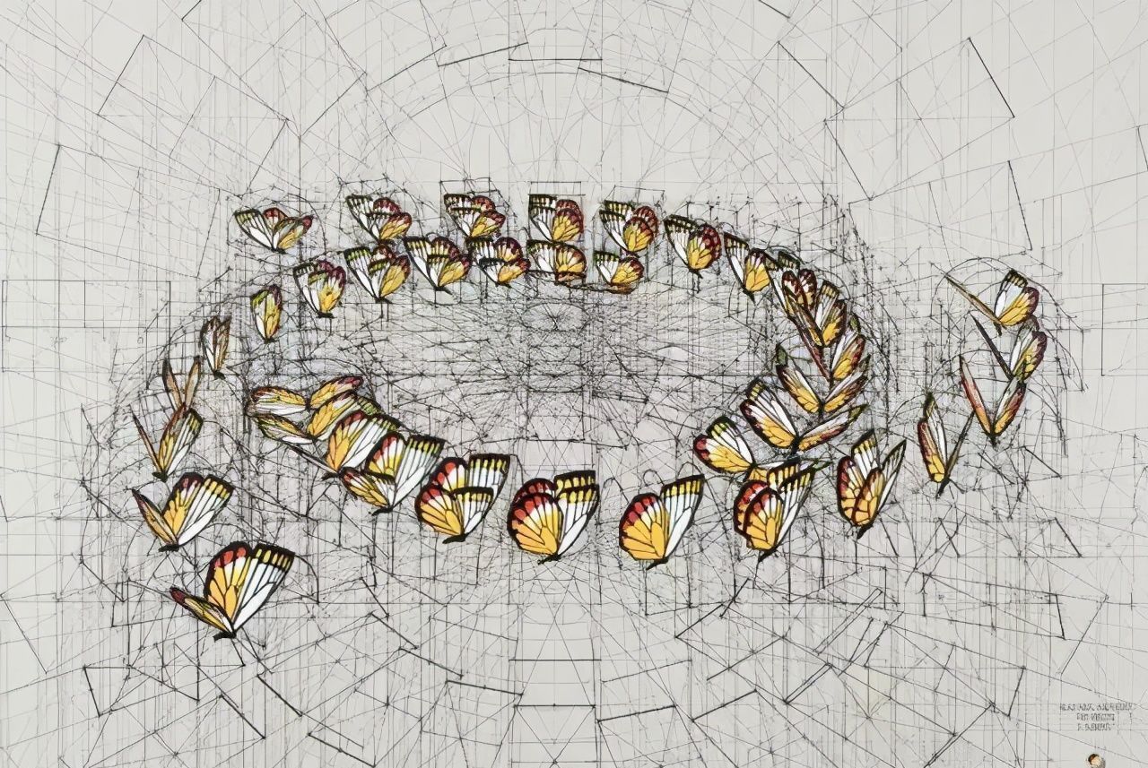 黄金比例!理工男花40年时间,用圆规画1000张画,黄金比例的拥护者
