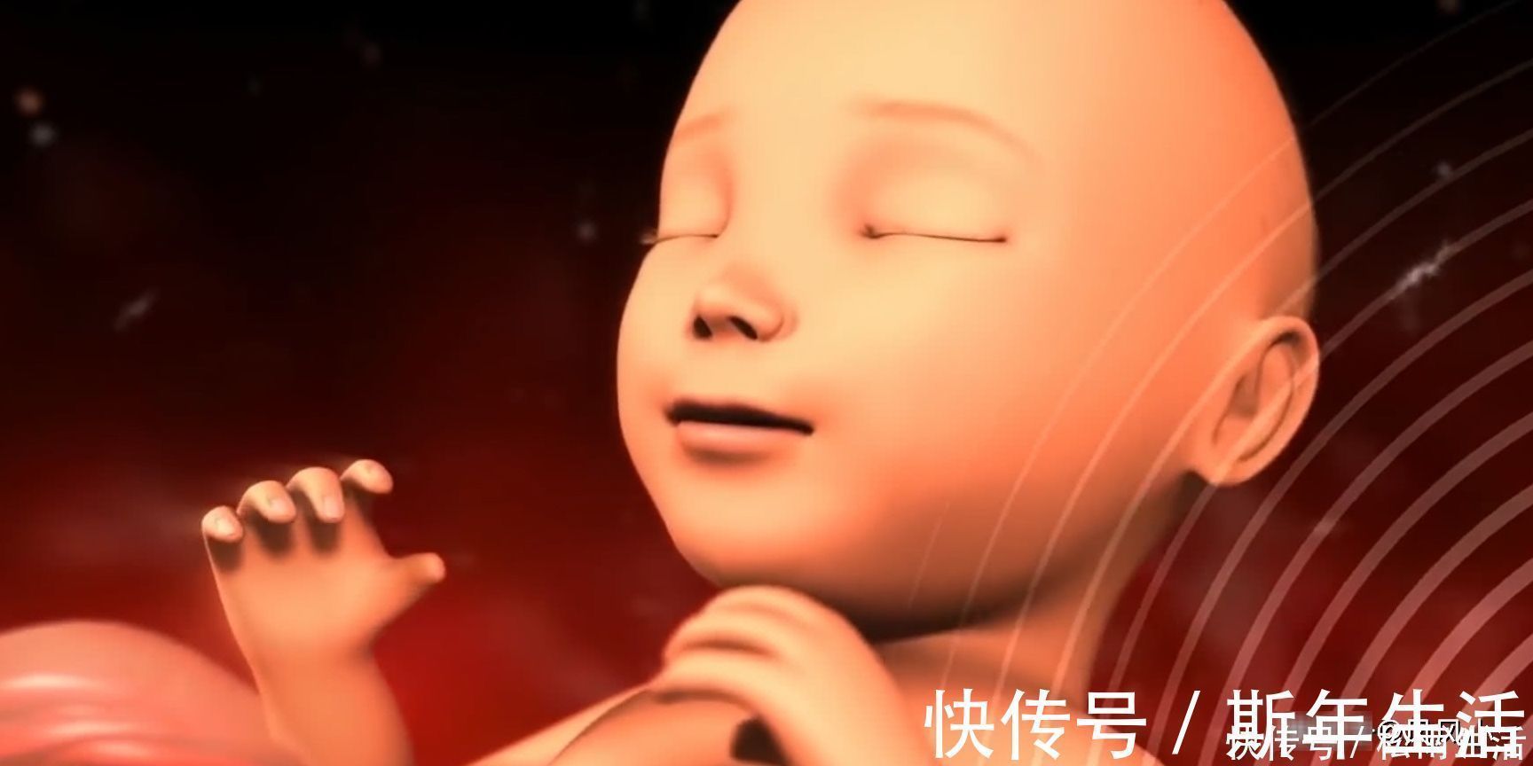 小脑袋|原来孕期肚子一直在跳,可能是胎儿在“忙”它,和胎动无关