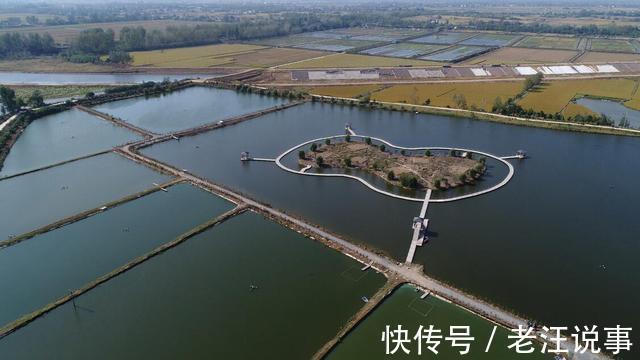 大黑鱼|钓友钓上来一条大黑鱼,没敢带回家,看了看赶紧放了,什么情况