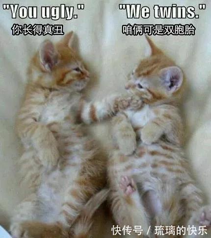 |搞笑GIF：回回考满分，以后怎么超越自己？