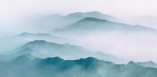 肝肾|用药在精不在多,两味中药就能够补肺气、补脾气、补肾气