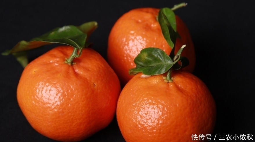 陈皮|是不是橘子皮晒干就是陈皮? 所有桔子皮都能泡水喝么